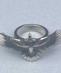 Alternative view of Thunderbird Ring